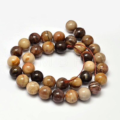 Natural Petrified Wood Round Bead Strands G-F266-08-10mm-1