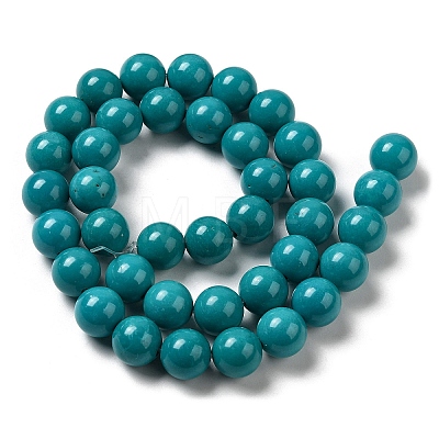 Natural Howlite Beads Strands G-B049-E01-01C-1