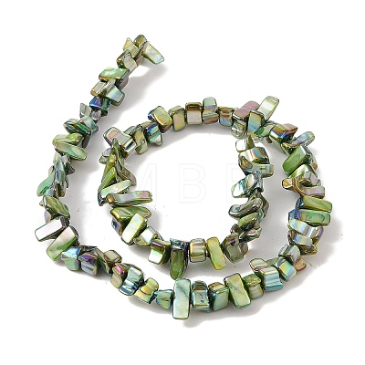 Natural Freshwater Shell Beads Strands BSHE-H018-07C-1