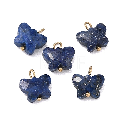 Dyed Natural Lapis Lazuli Pendants KK-D289-61G-06-1