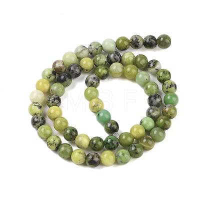 Natural Serpentine Beads Strands X-G-G829-06-10mm-1