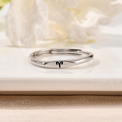 Rhodium Plated 925 Sterling Silver Adjustable Rings RJEW-S397-01P-01-1