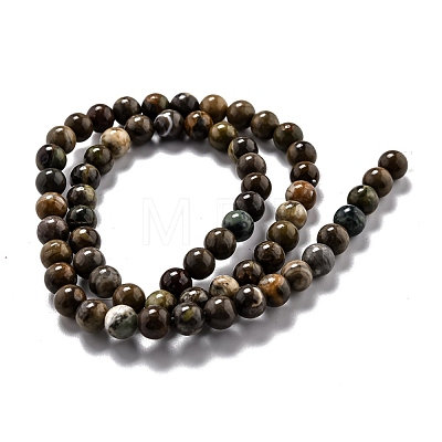 Round Natural Ocean Agate/Ocean Jasper Beads Strands G-L574-02A-1