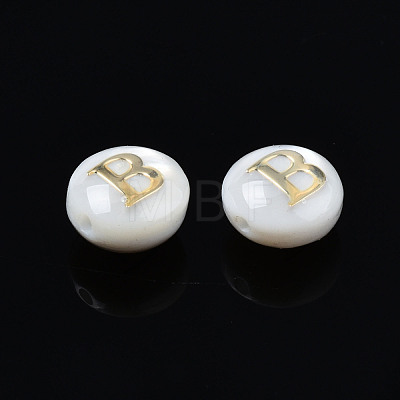 Natural Freshwater Shell Beads SHEL-S278-036B-1