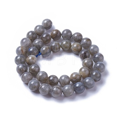 Natural Labradorite Beads Strands G-F627-10-D-1