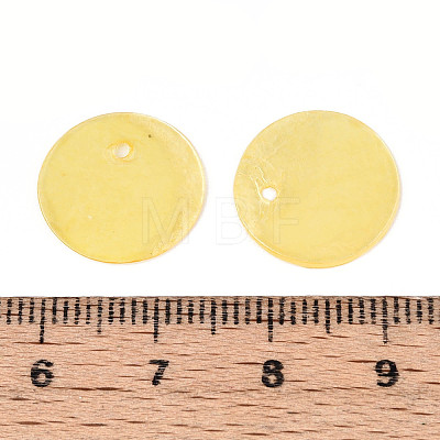 Spray Painted Natural Capiz Shell Disc Charms BSHE-T014-02G-1