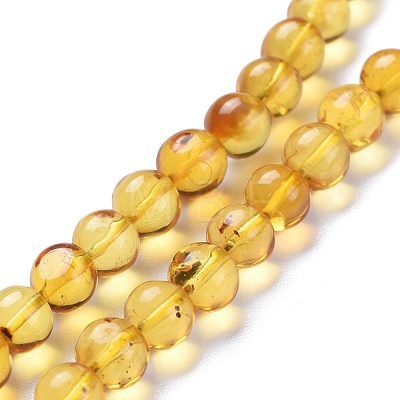 Natural Amber Beads Strands G-K308-C01-6mm-1