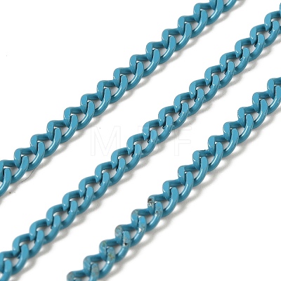 Spray Painted 304 Stainless Steel Curb Chains STAS-B067-05A-06-1