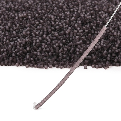 MIYUKI Delica Beads SEED-X0054-DB2405-1