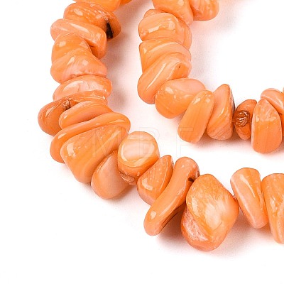 Dyed Natural Freshwater Shell Beads Strands BSHE-T014-55-1