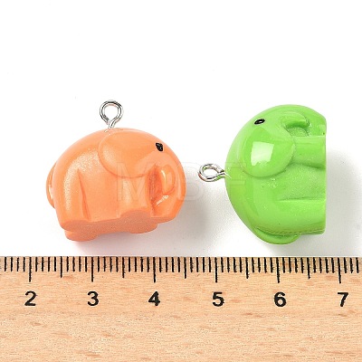 Opaque Resin Pendants X-RESI-I355-03P-02-1