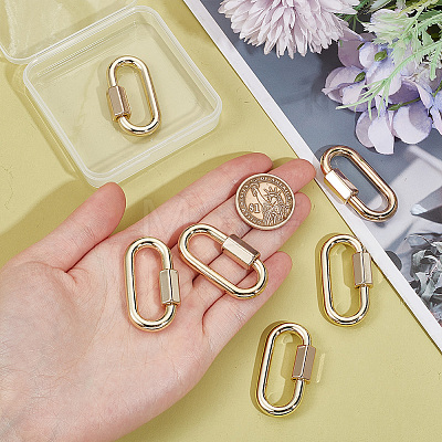 Unicraftale 6Pcs Alloy Screw Carabiner Lock Charms FIND-UN0003-31LG-1