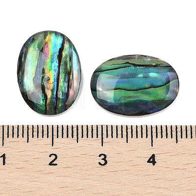 Natural Paua Shell Cabochons SSHEL-I026-20A-1