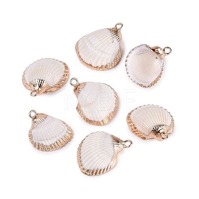 Electroplated Golden Brass Trim Natural Sea Shell Pendants SSHEL-N042-30-1