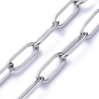 304 Stainless Steel Eyeglasses Chains AJEW-EH00056-1