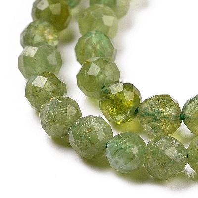 Natural Green Apatite Beads Strands G-C009-A22-1