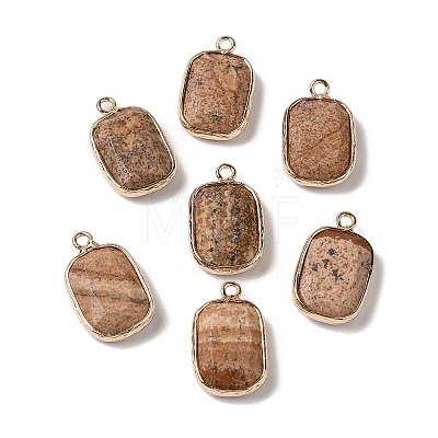 Natural Picture Jasper Faceted Pendants G-Q169-06G-03-1