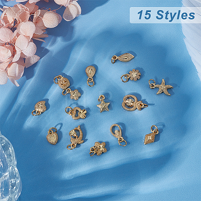   60Pcs 15 Style Electroplated Alloy Charms FIND-PH0006-30-1
