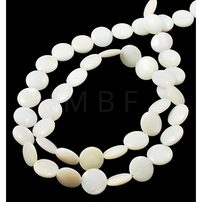 Natural Shell Beads Strands X-PBB-XXBK024Y-13-1