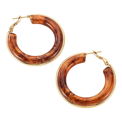 1 Pair 304 Stainless Steel Hoop Earrings EJEW-TA0001-89E-1