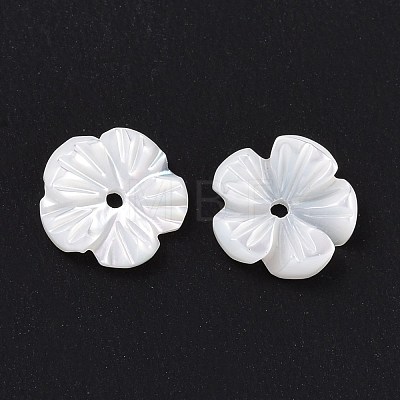 Natural Trochid Shell/Trochus Shell Beads SHEL-P014-02A-1