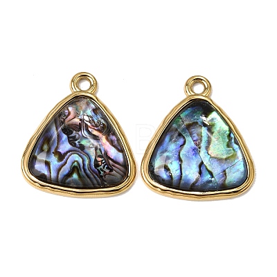 304 Stainless Steel & Natural Paua Shell Pendants SH-CBA7184-01E-G-1