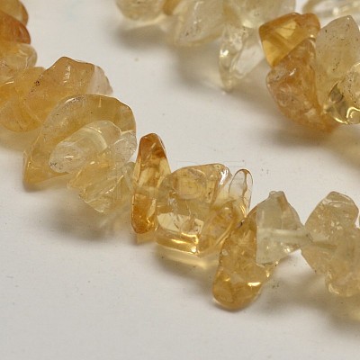 Chip Natural Citrine Beads Strands X-G-N0134-21-1