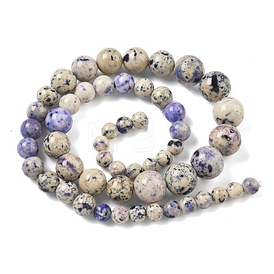 Natural Fossil Graduated Beads Strands G-F830-A03-01D-1