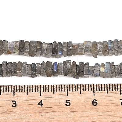 Natural Labradorite Beads Strands G-Z152-F04-02-1