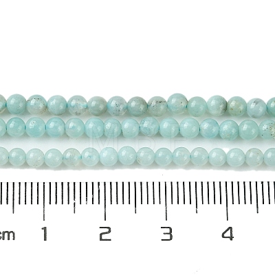 Natural Amazonite Beads Strands G-K365-C04-01-1