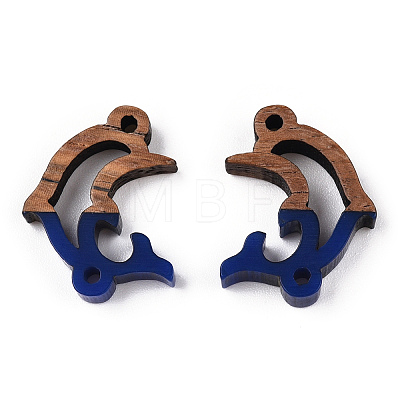 Opaque Resin & Walnut Wood Connector Charms RESI-N039-46B-1