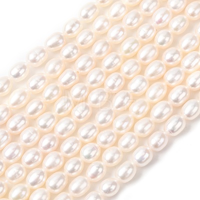 Natural Cultured Freshwater Pearl Beads Strands PEAR-F020-01B-1