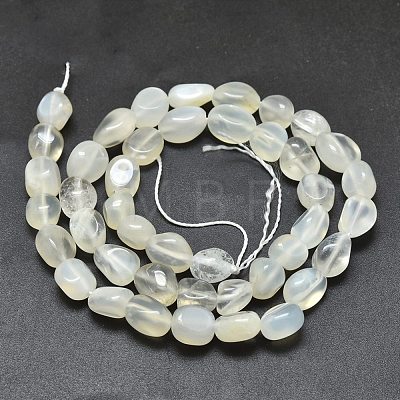 Natural White Moonstone Beads Strands X-G-O186-C-04-1