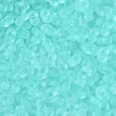 FGB Frosted Transparent Glass Seed Beads SEED-N013-06A-10-1