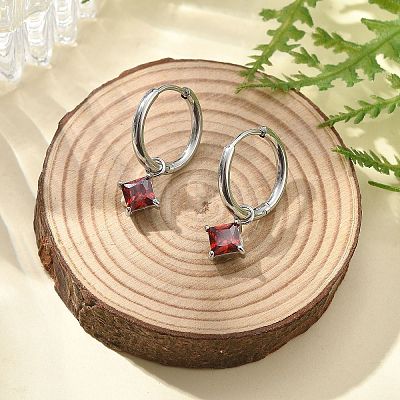 304 Stainless Steel Micro Pave Cubic Zirconia Hoop Earrings STAS-R004-01P-02-1