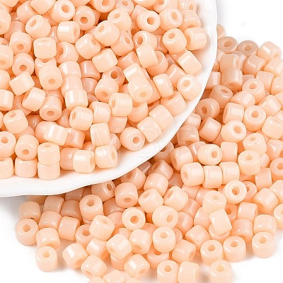 Opaque Baking Paint Glass Seed Beads X-SEED-T008-02C-1