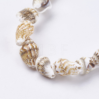 Natural Sea Shell Beads Strands BSHE-K012-07-1