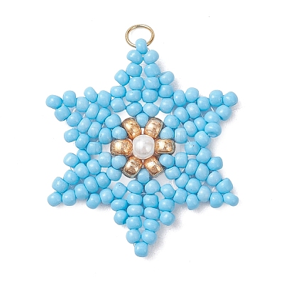 Glass Seed Beaded Pendants PALLOY-MZ01360-02-1