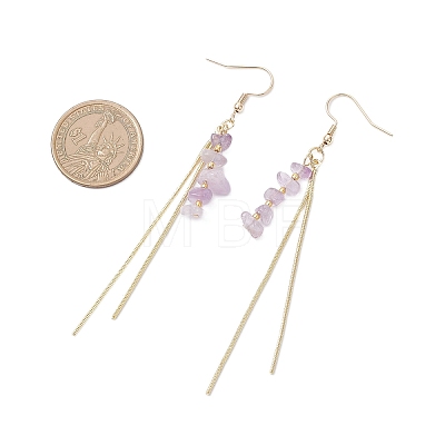 Natural Amethyst Dangle Earrings EJEW-JE06712-02-1