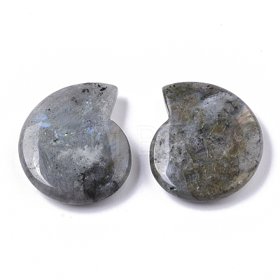 Natural Labradorite Beads X-G-R464-008A-1