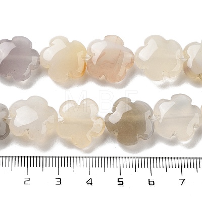 Natural White Agate Beads Strands G-F769-G01-01-1