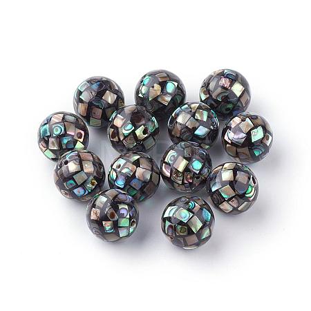 Natural Paua Shell Beads SSHEL-Q298-12mm-09-1