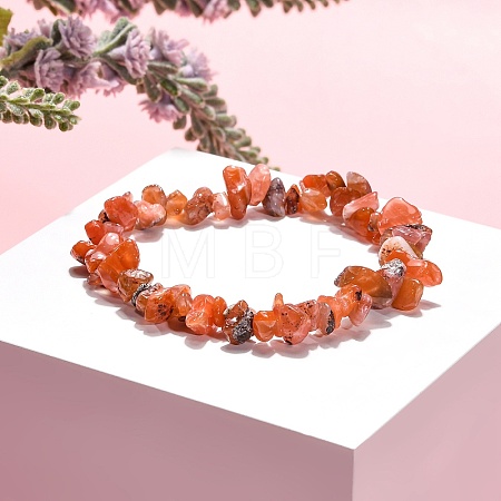 Carnelian(Dyed) Chips Stretch Bracelets BJEW-JB01308-04-1