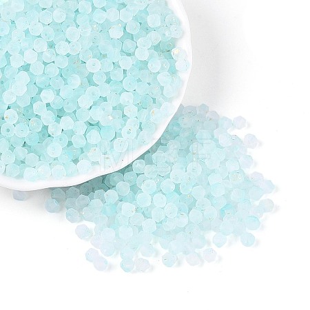 Frosted Glass Seed Beads SEED-N012-01C-1
