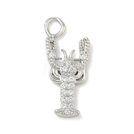 Brass Micro Pave Clear Cubic Zirconia Pendants KK-H528-04B-P-1