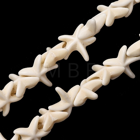 Synthetic Turquoise Dyed Beads Strands G-B184-C01-01-1