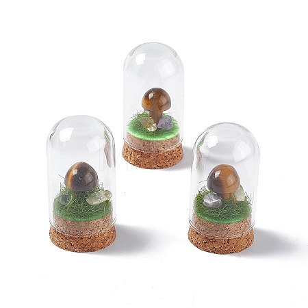 Natural Tiger Eye Mushroom Display Decoration with Glass Dome Cloche Cover G-E588-03F-1
