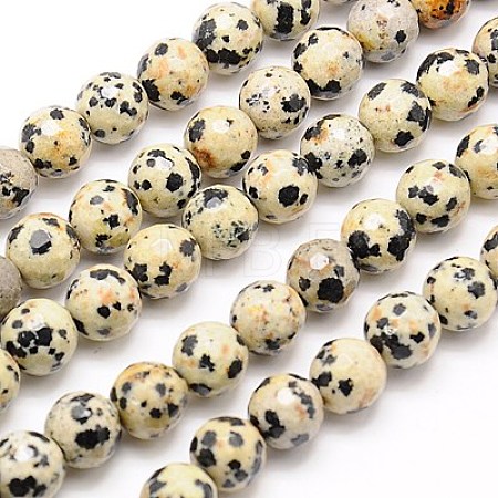 Natural Dalmation Jasper Beads Strands G-G542-10mm-07-1