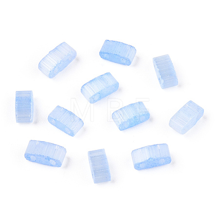 2-Hole Glass Seed Beads SEED-N006-001-A02-1
