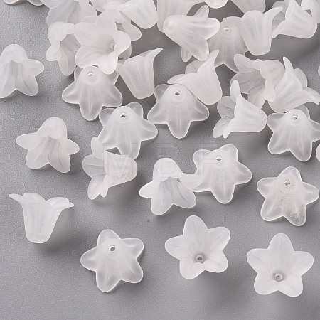 Transparent Acrylic Beads PLF018-01-1